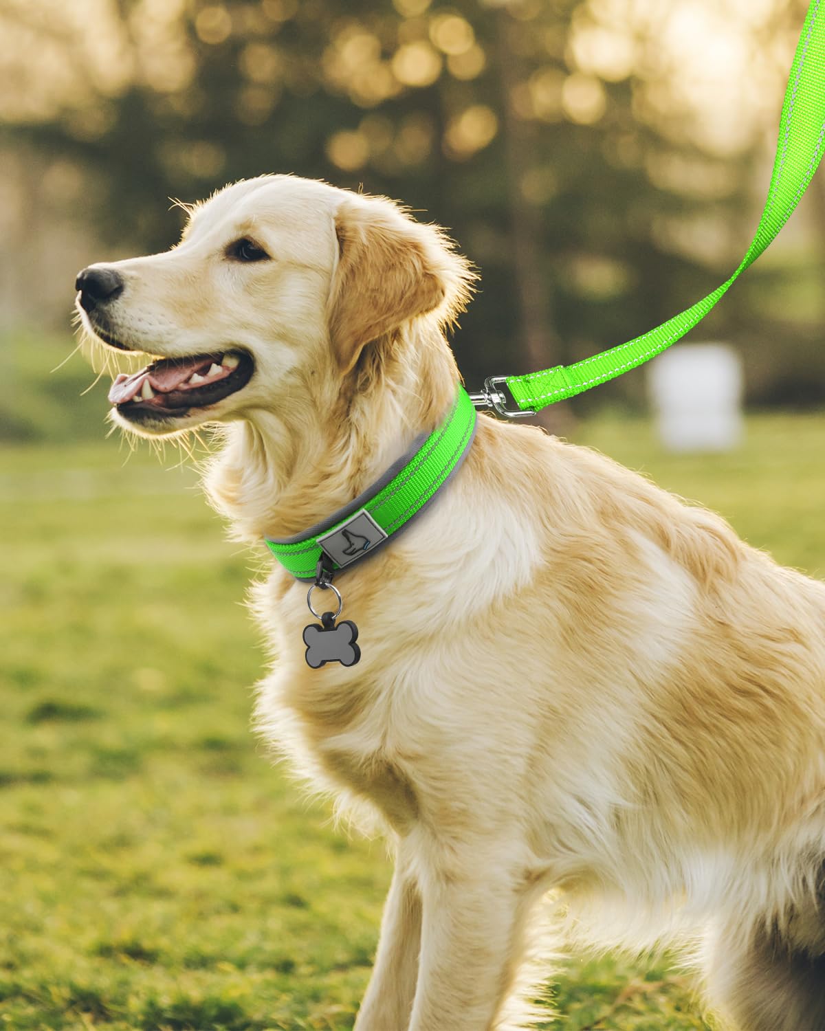 Joytale Neoprene Padded Adjustable Reflective Dog Collar for Large Dogs - Heavy Duty Pet Collar with Durable Metal Buckle - Perfect for Walking, Hiking & Outdoor Adventures (Green, Size L)