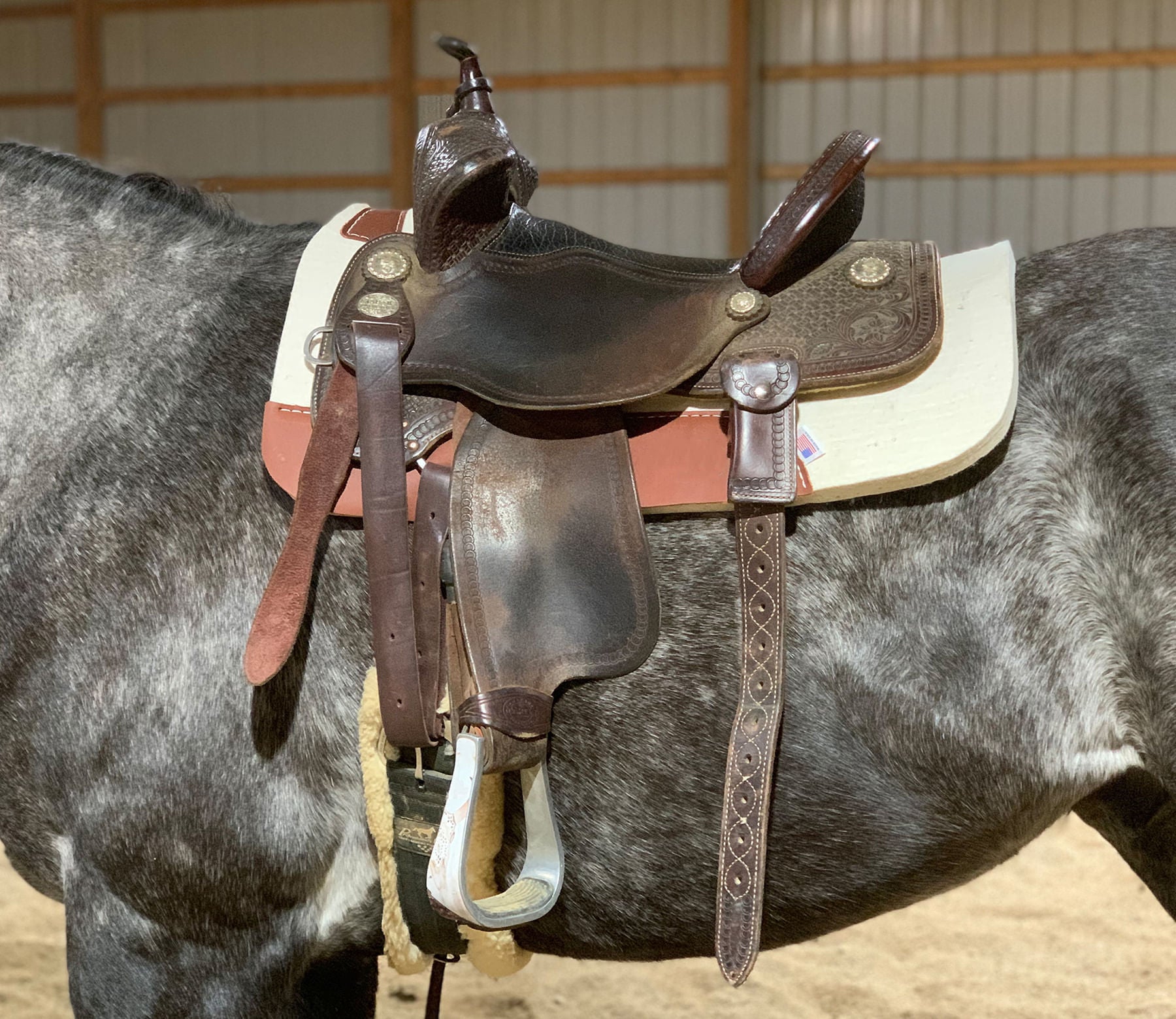 Premium Blue Horse 100% Pure Wool Contoured Saddle Pad - Breathable & Shock-Absorbing for English & Western Riding, Training & Competition