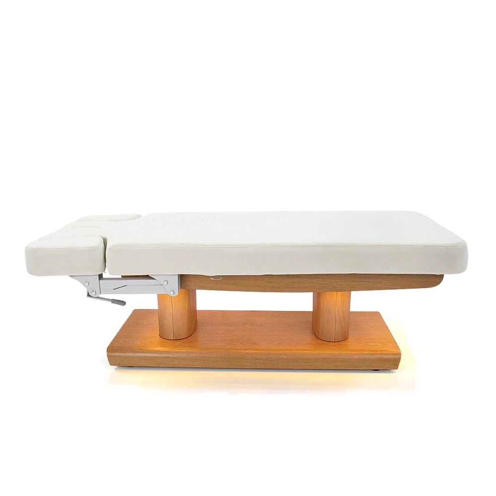 Electric Spa and Massage Bed - Professional Relaxation & Therapy for Home, Salon or Spa - Perfect for Pain Relief, Stress Reduction and Full Body Massage
