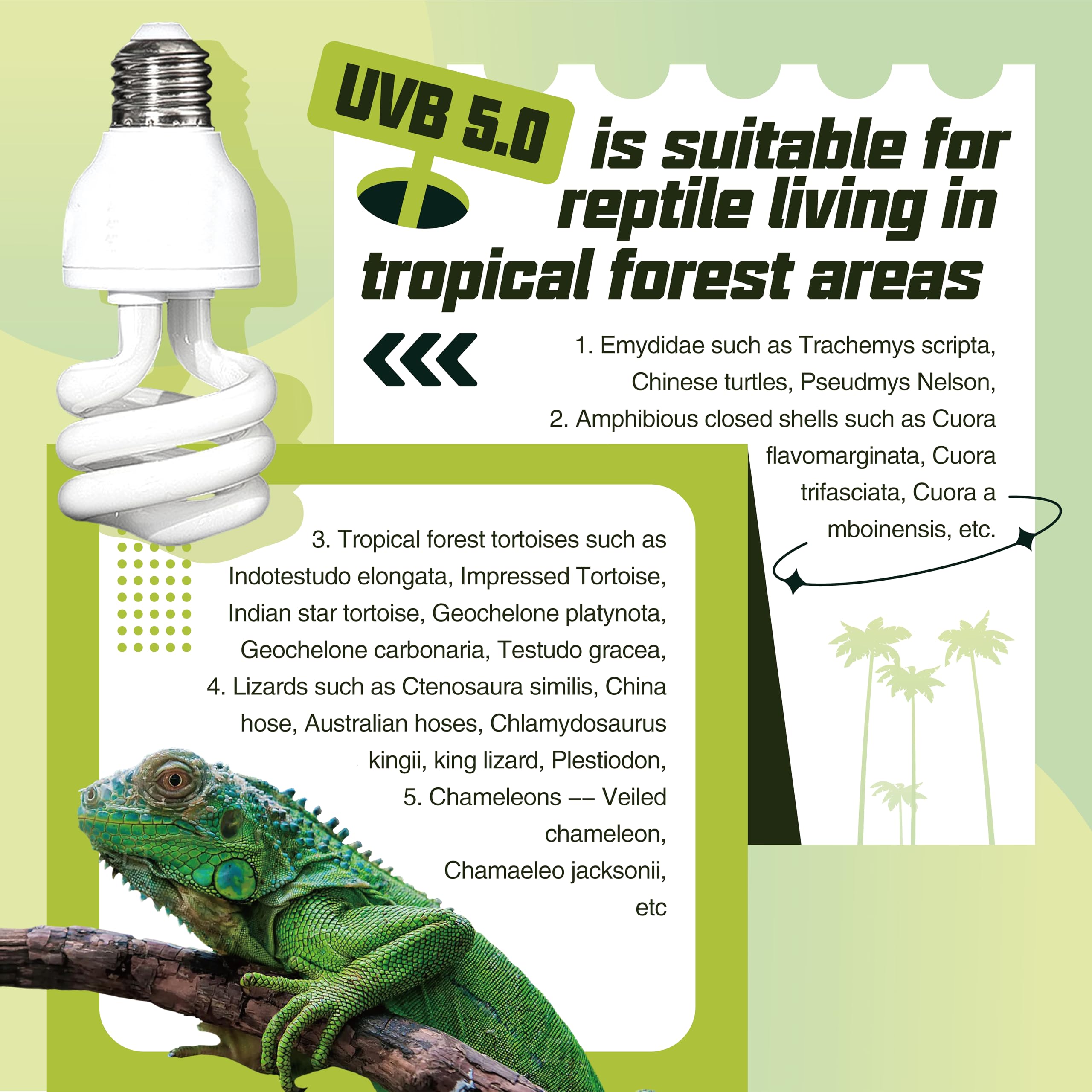 UVA UVB Reptile Heat Lamp 26W (5.0) - Ideal for Terrariums, Turtles, Lizards & Snakes - Perfect for Basking & Vitamin D3 Synthesis