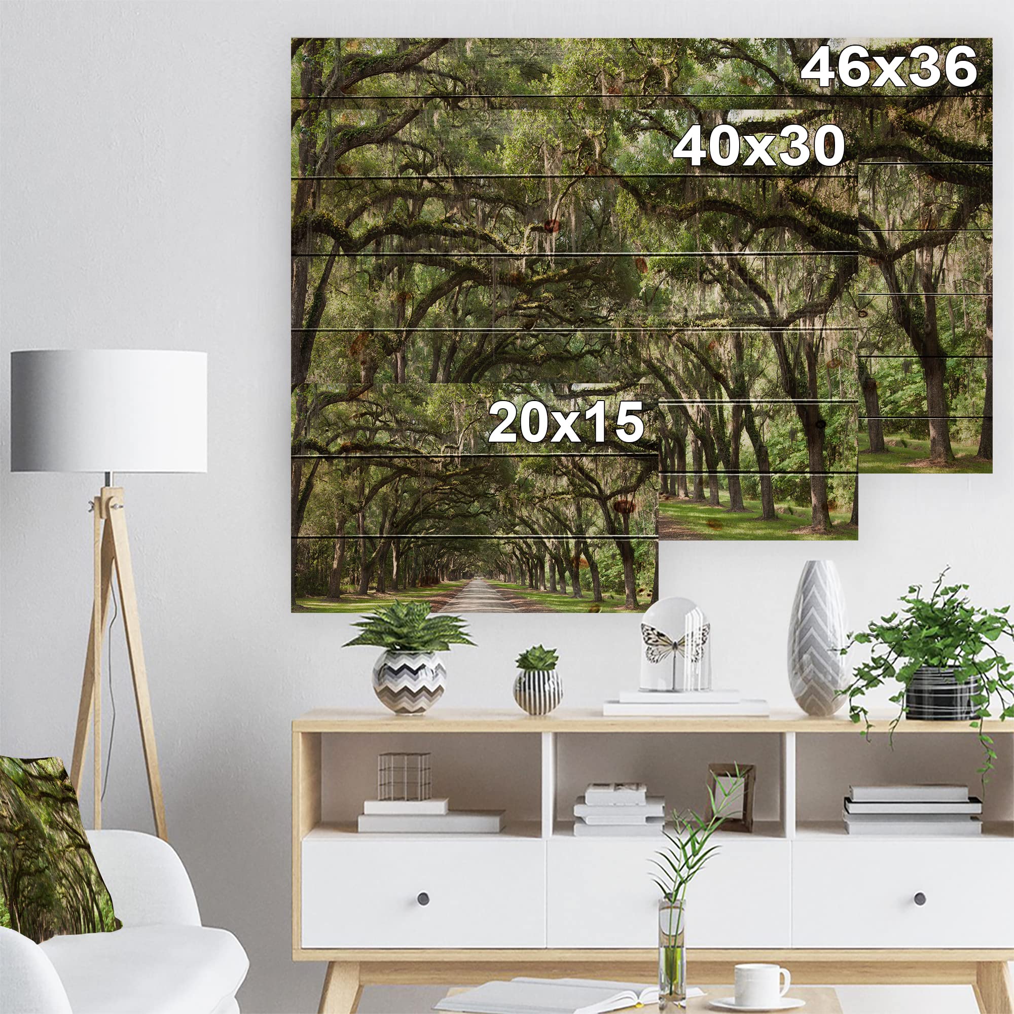 DesignQ Live Oak Tunnel Traditional Wood Wall Decor - Green Wood Wall Art, Large Landscape Wood Panels Printed on Natural Pine - Perfect for Living Room, Bedroom & Office Decor