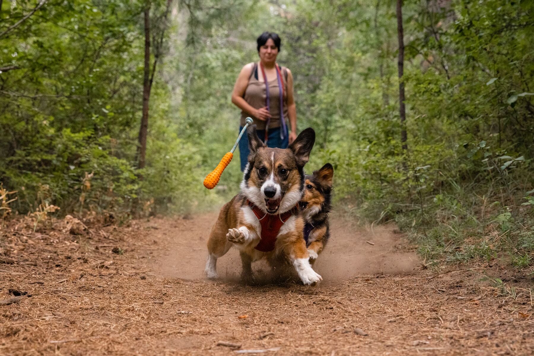 Ruffwear Gourdo® Orange Campfire Rubber Dog Toy with Rope - Durable Chew Toy for Outdoor Play, Fetch, and Training