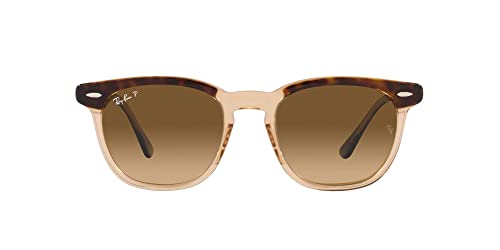 Havana on Transparent Brown/Brown Gradient Polarized