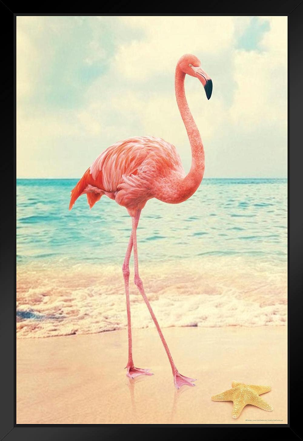 Pink Flamingo Wall Art - 14x20 Framed Beach Decor with Starfish Print, Tropical Bathroom & Coastal Living Room Decor - Perfect for Beach House, Vacation Home or Wildlife Themed Spaces
