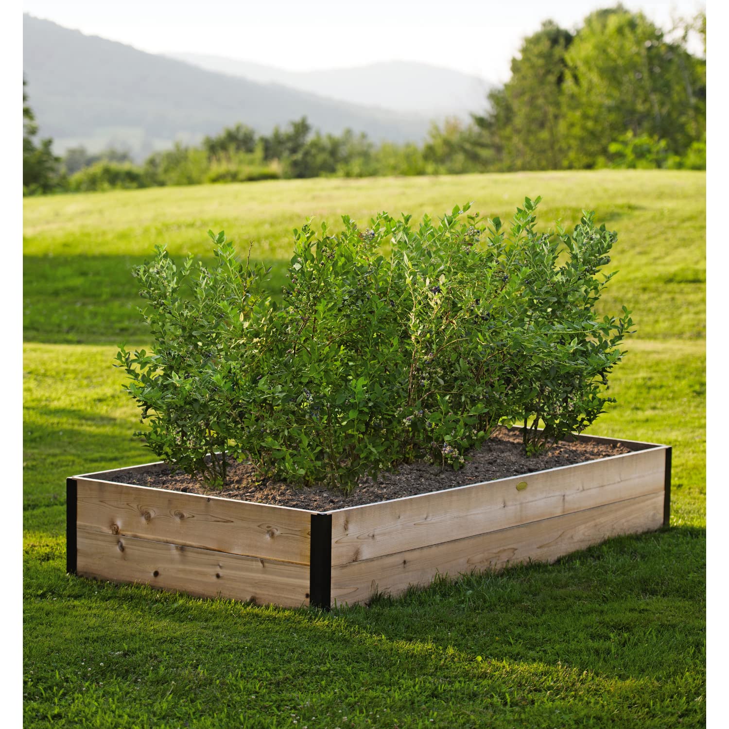**Extra Deep Raised Garden Bed 4'x8'x14