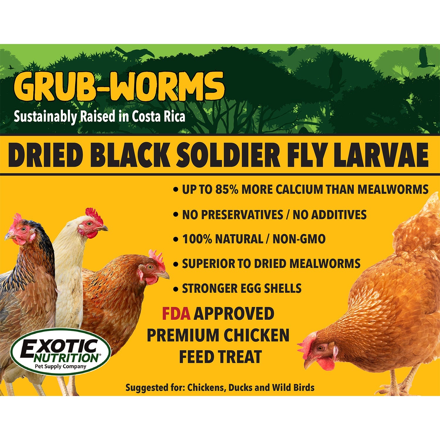 Premium Grub Worms - Black Soldier Fly Larvae for Reptiles, Chickens & Wild Birds | High-Protein Live Feed for Bearded Dragons, Geckos & Poultry | Perfect for Fishing Bait & Composting