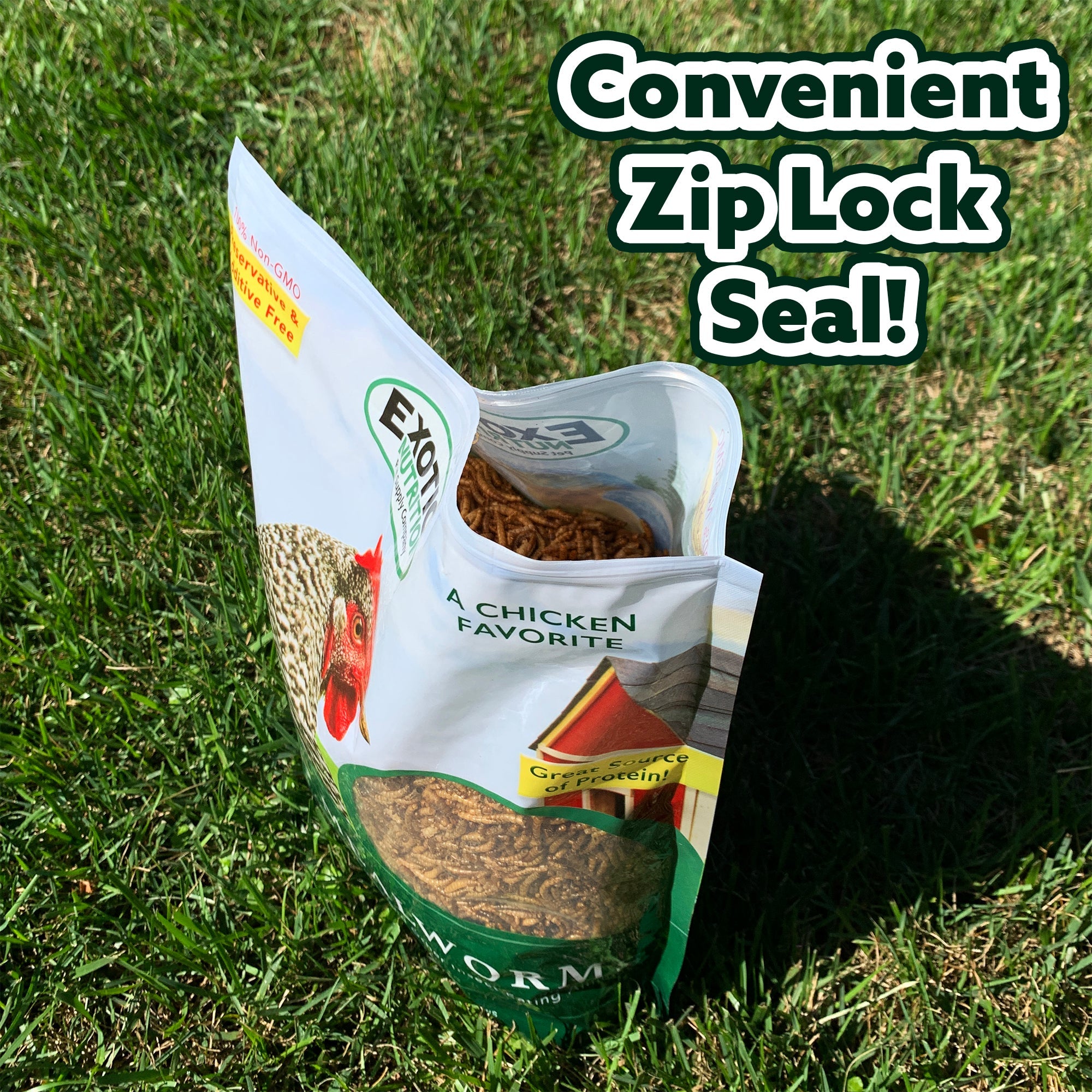 Premium Dried Mealworms 2 lb - High Protein Natural Bird & Chicken Feed - Perfect for Wild Birds, Poultry, Reptiles & Fishing Bait