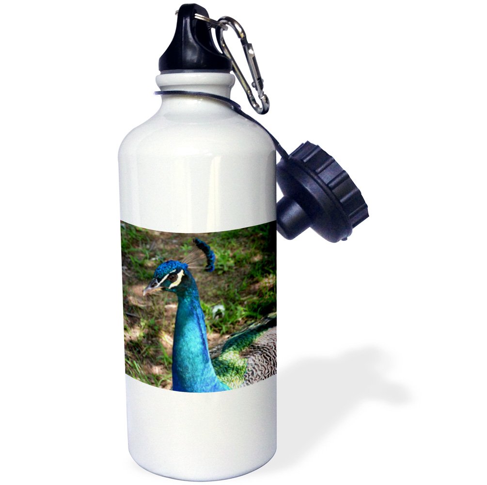 3Drose Vibrant Peacock Design Sports Water Bottle - 21 oz Insulated Stainless Steel White - Perfect for Gym, Hiking & Outdoor Activities