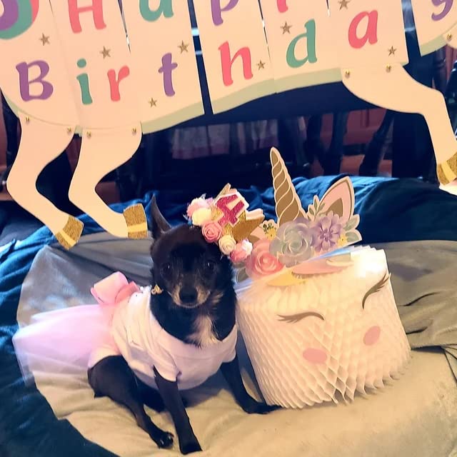 Pink Unicorn Dog Birthday Costume - Large Size | Cute Pet Party Outfit for Birthday Celebrations & Photo Shoots