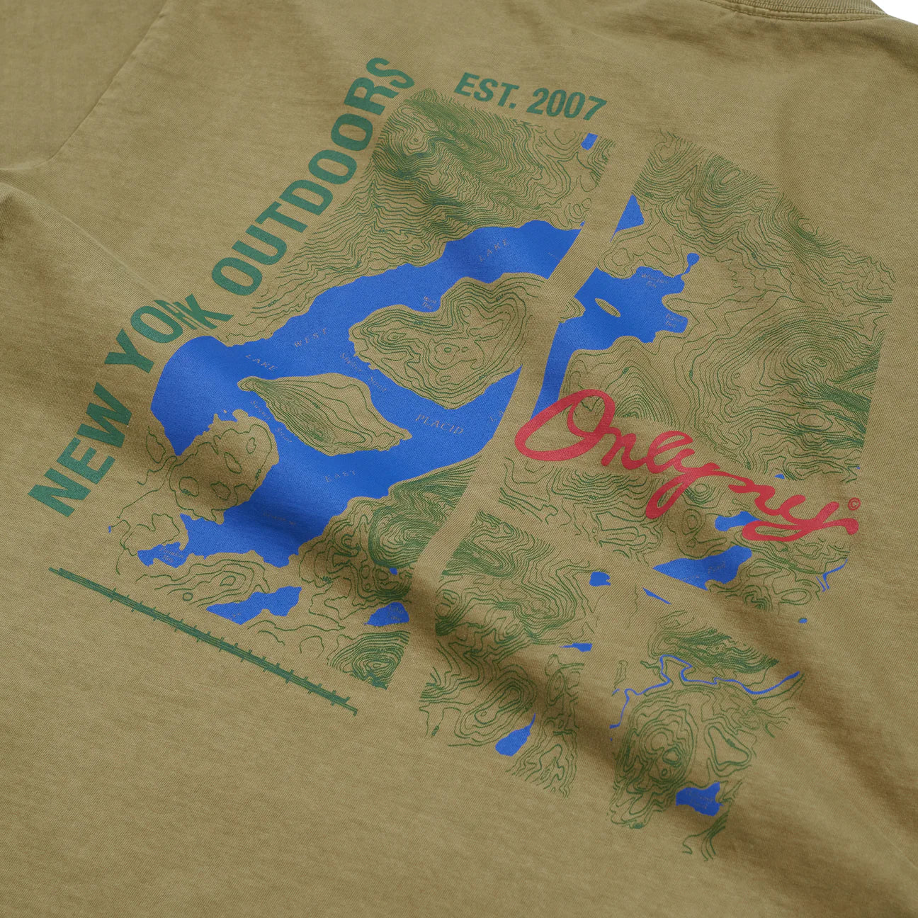 Only NY Lake Placid Olive Green T-Shirt - Soft Cotton Crewneck Tee for Men & Women | Perfect for Casual Wear, Street Style & Outdoor Adventures