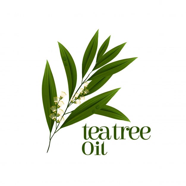 Quat Tea Tree Face Gel for Acne & Scar Treatment - 100g Anti-Blemish Gel for Glowing Skin, Oily Skin Care - Women & Men | Daily Skincare Routine, Post-Workout Face Care, Travel Essential
