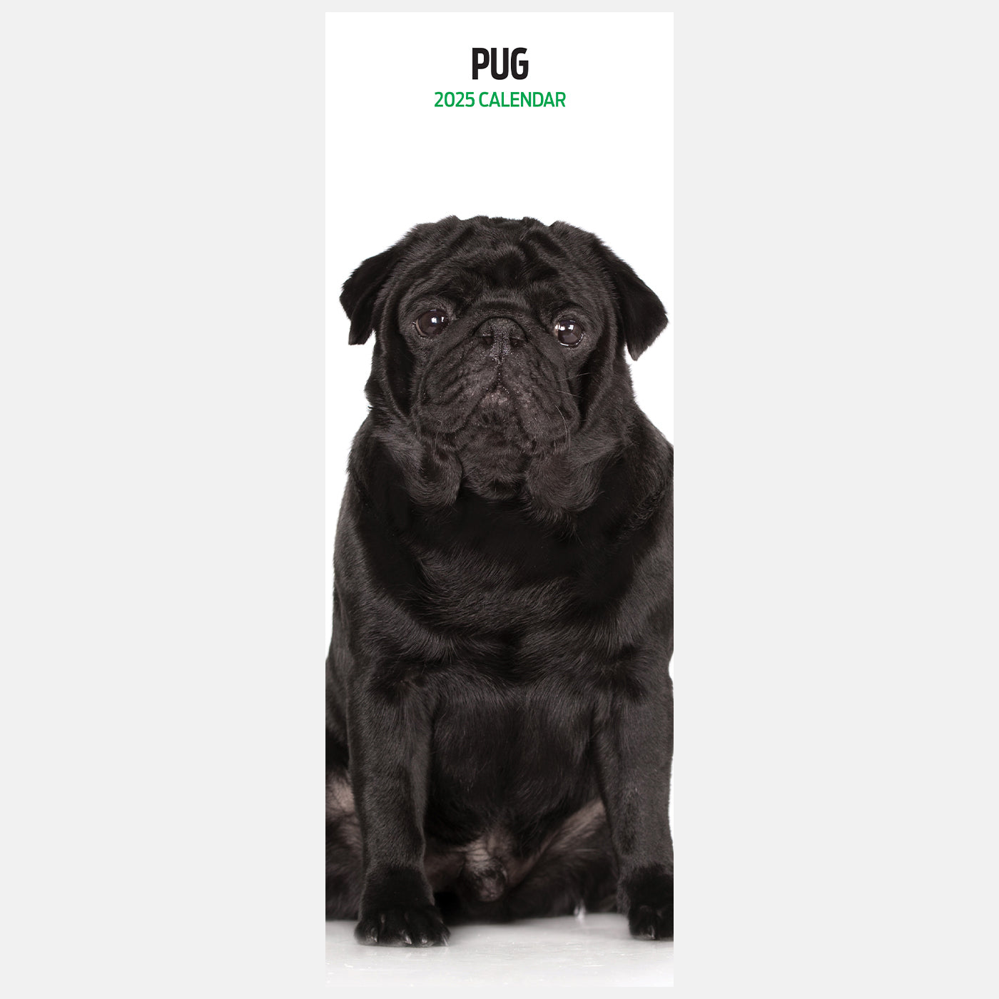 2025 Pug Slim Wall Calendar - Cute Dog Planner for Home & Office | Perfect for Pet Lovers, Gifts, and Organization