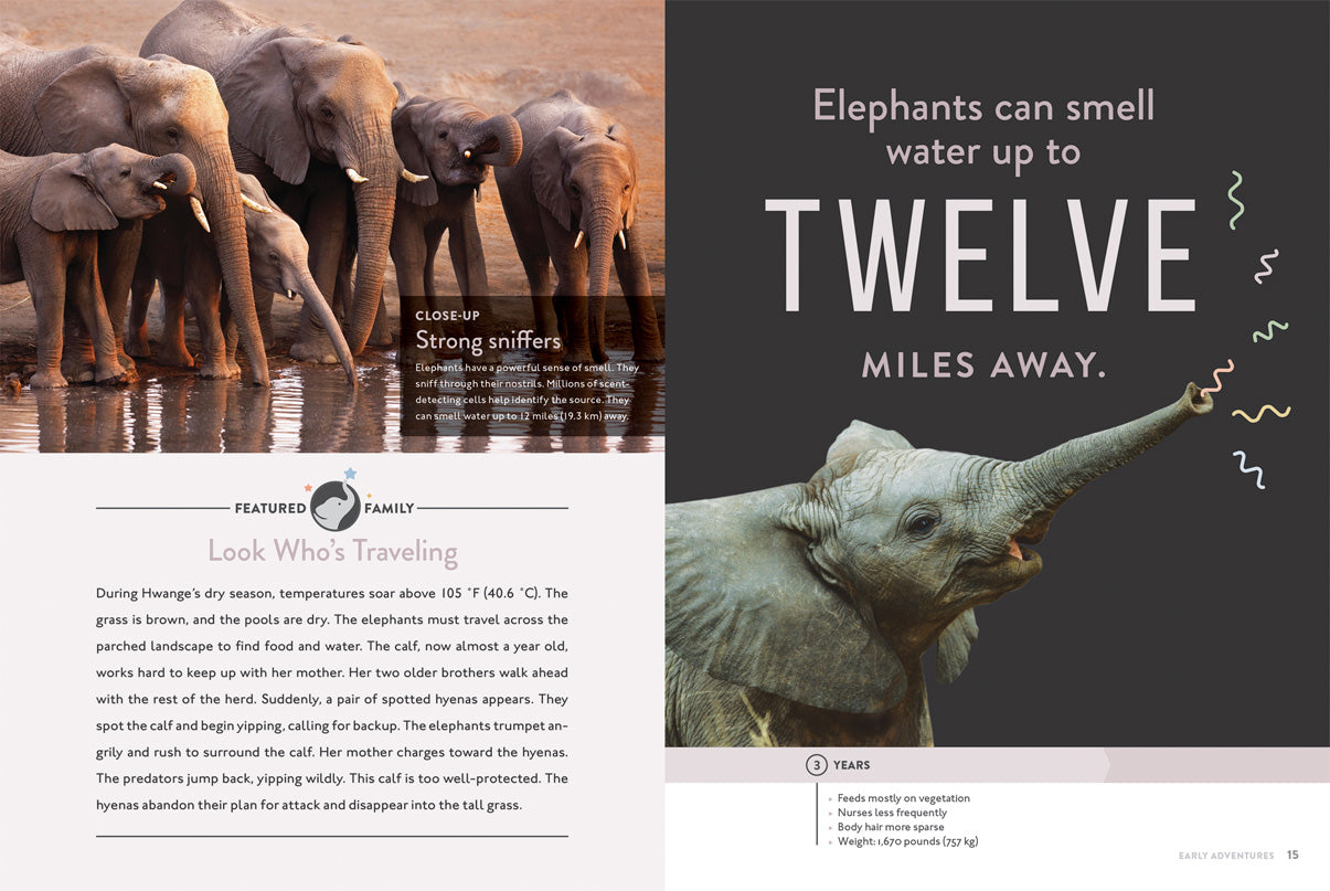 Elephant 978-1-64026-182-2 - Premium Elephant-Themed Notebook for Journaling, Sketching & Gift Giving
