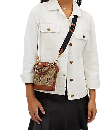 Coach Disney X Coach Mini Dempsey Bucket Bag - Signature Jacquard with Mickey Mouse Print - Perfect for Disney Fans, Casual Outings & Gift Giving