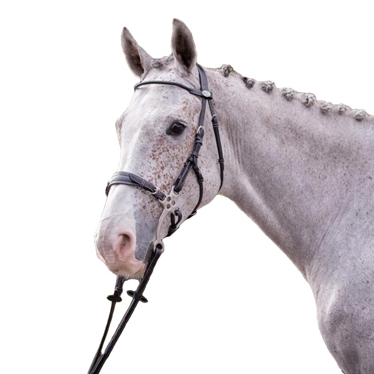 Jump'in Hackamore Bridle - Durable & Comfortable Horse Training Bridle for Western Riding | Perfect for Trail Riding, Training, and Show Events