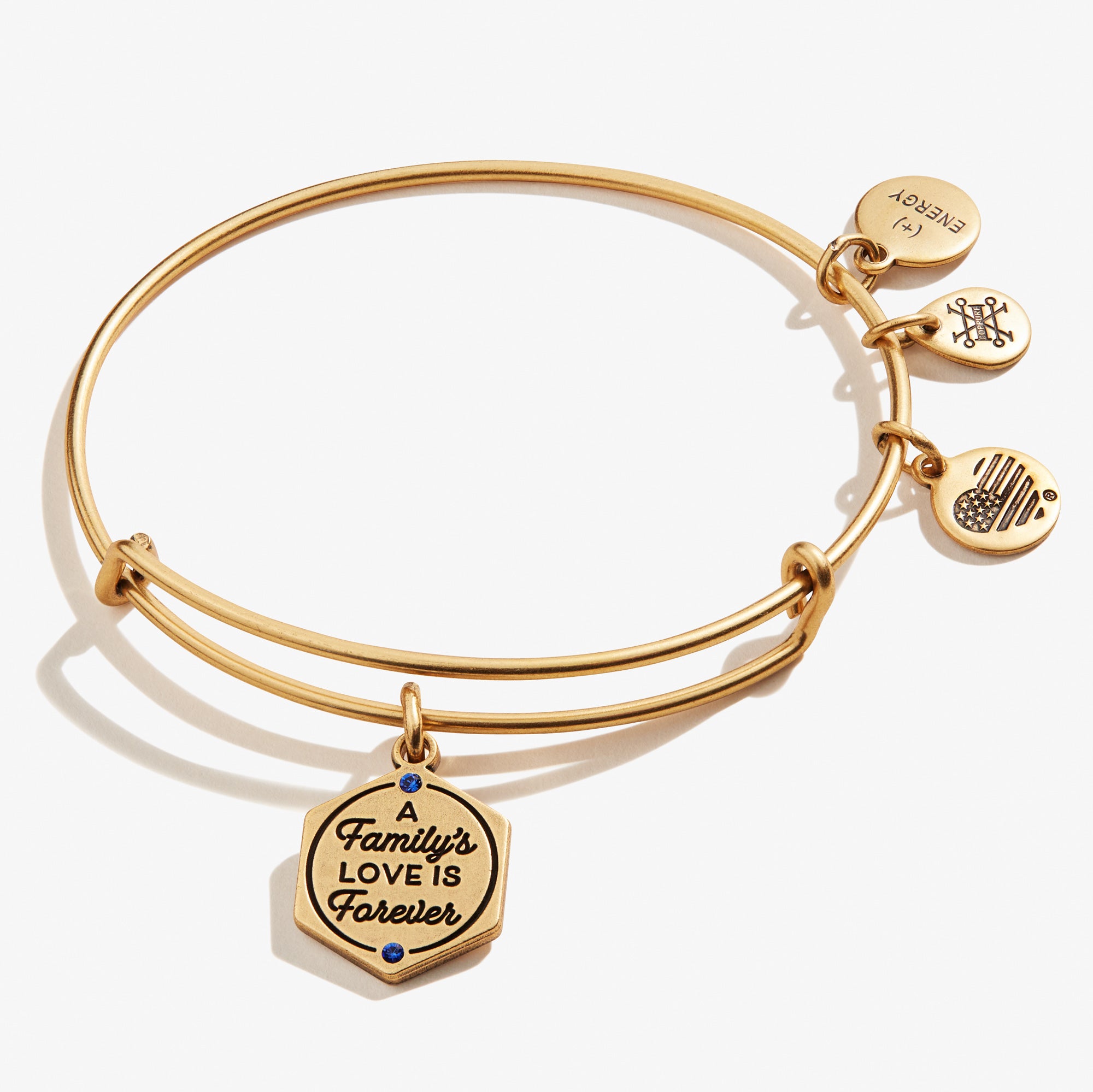 Forever Love Charm Bangle - Elegant Family Jewelry for Women, Gifts for Mom, Wife, Daughter | Perfect for Anniversaries, Birthdays & Special Occasions