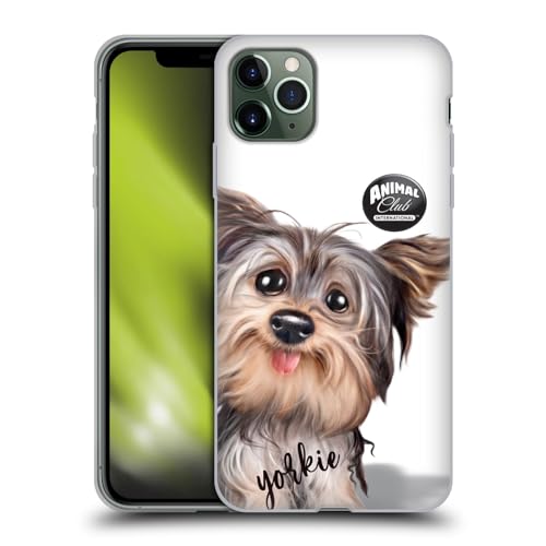 Yorkie