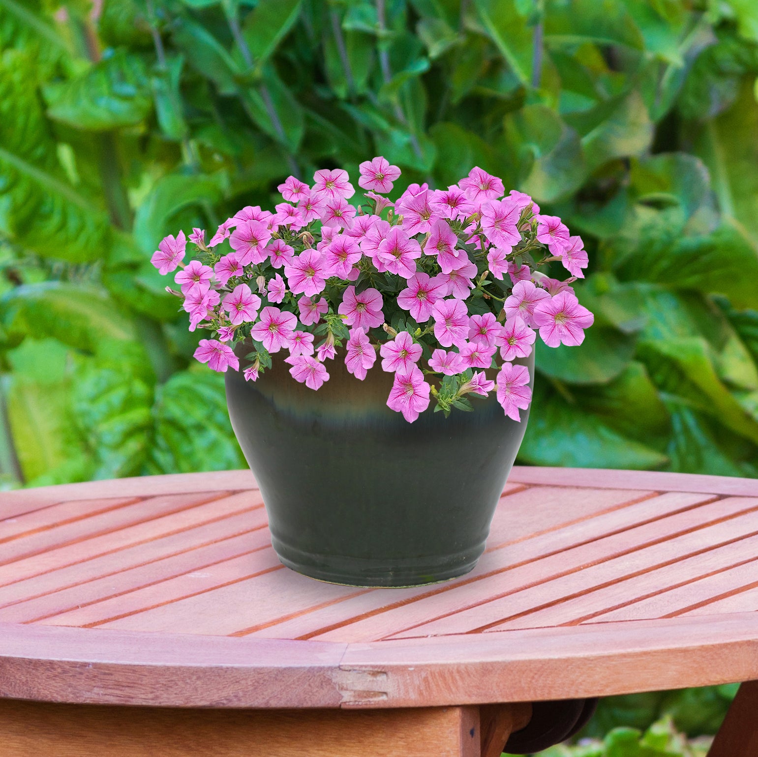 Sunnydaze Studio Round Glazed Ceramic Planter with Drainage Hole - Indoor Outdoor Flower Pot for Plants, Succulents, Herbs - Perfect for Patio, Garden, Balcony Decor