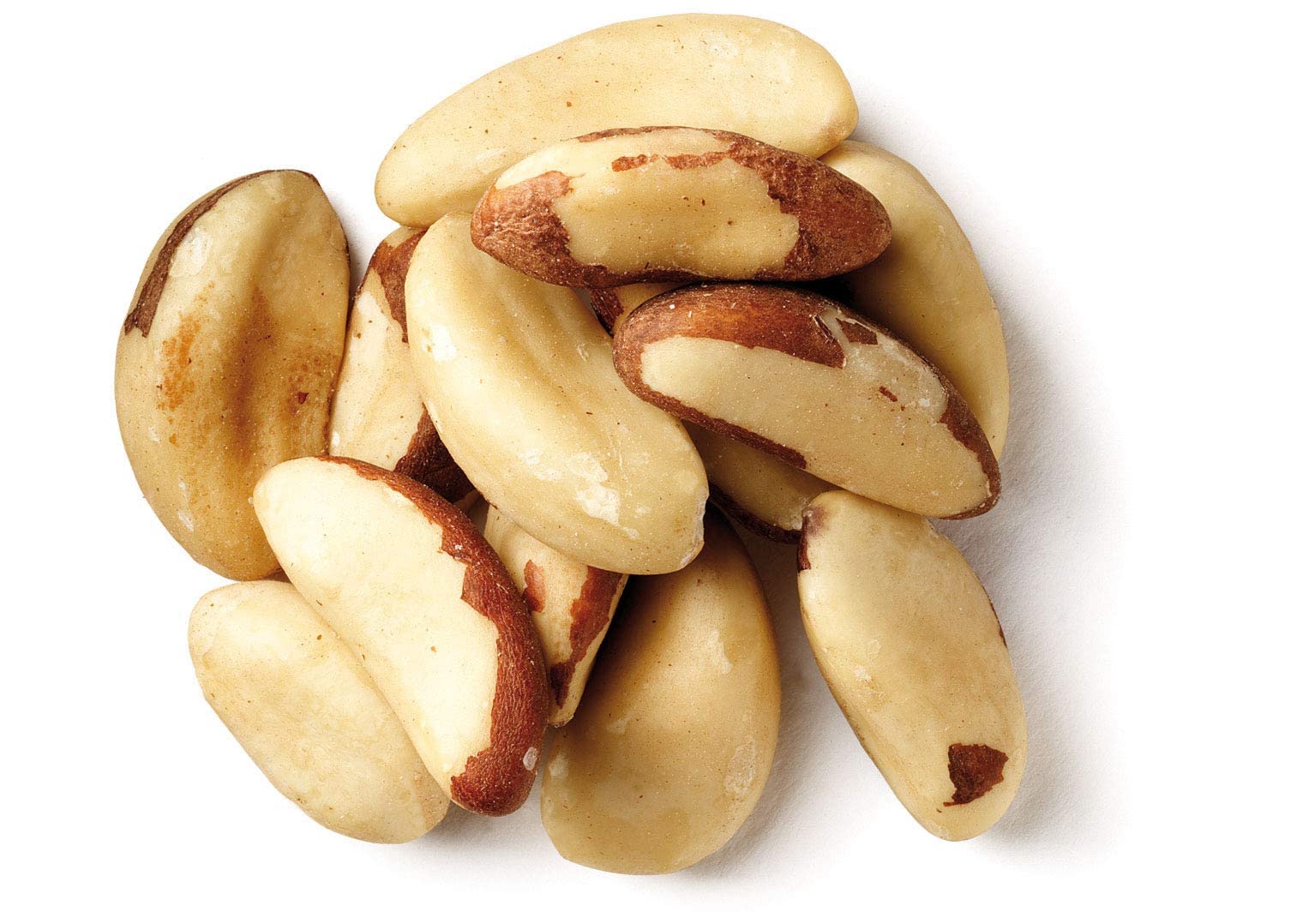 Premium Bulk Brazil Nuts 25 lbs - Wholesale Raw Organic Nuts for Baking, Snacking & Healthy Recipes - Great for Trail Mix, Desserts & Vegan Diets
