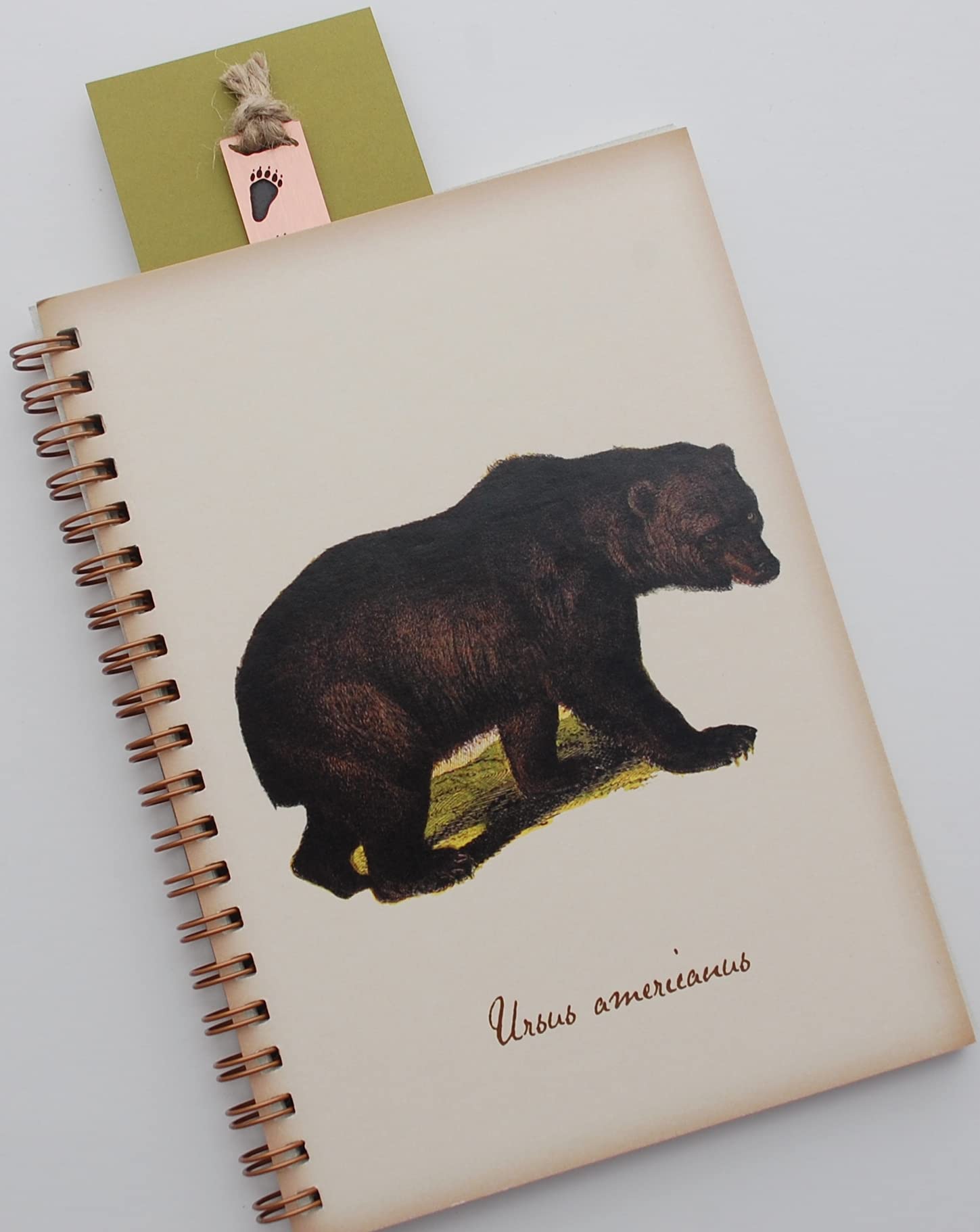 Bear Journal and Bookmark Set - 2-Piece Writing Gift Set for Book Lovers, Perfect for Journaling, Reading & Gifts