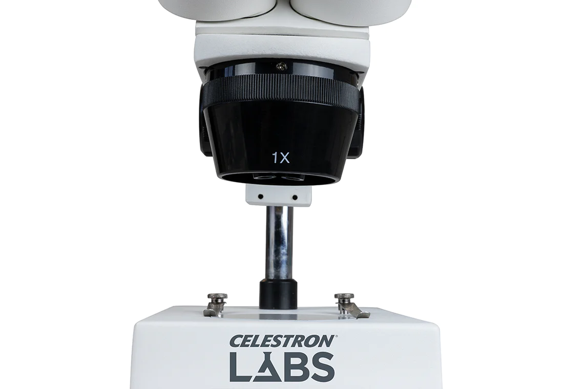 Celestron Labs S1030N Stereo Microscope 20x-40x Magnification for Kids & Adults - Perfect for Coin Collecting, Jewelry Inspection & Science Education