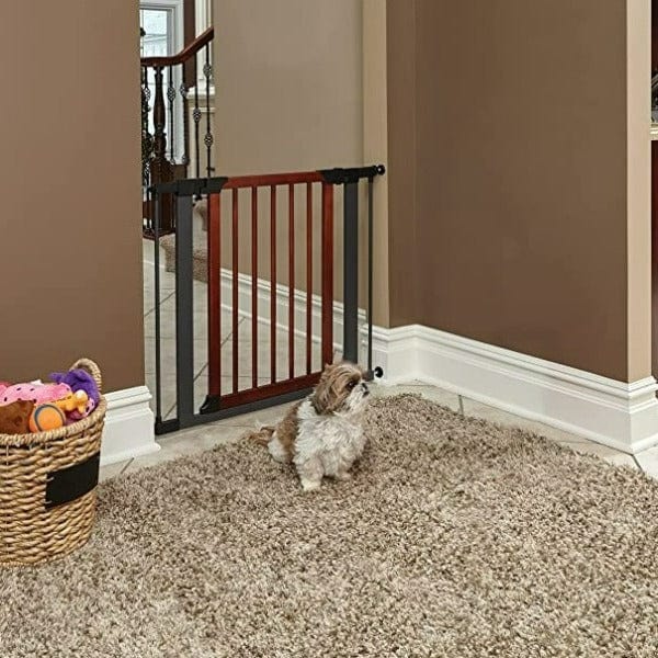 MidWest Steel Pet Gate with Graphite Frame & Wooden Door - Secure Dog Gate for Stairs, Doorways & Indoor Use