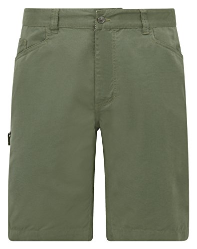Light Olive