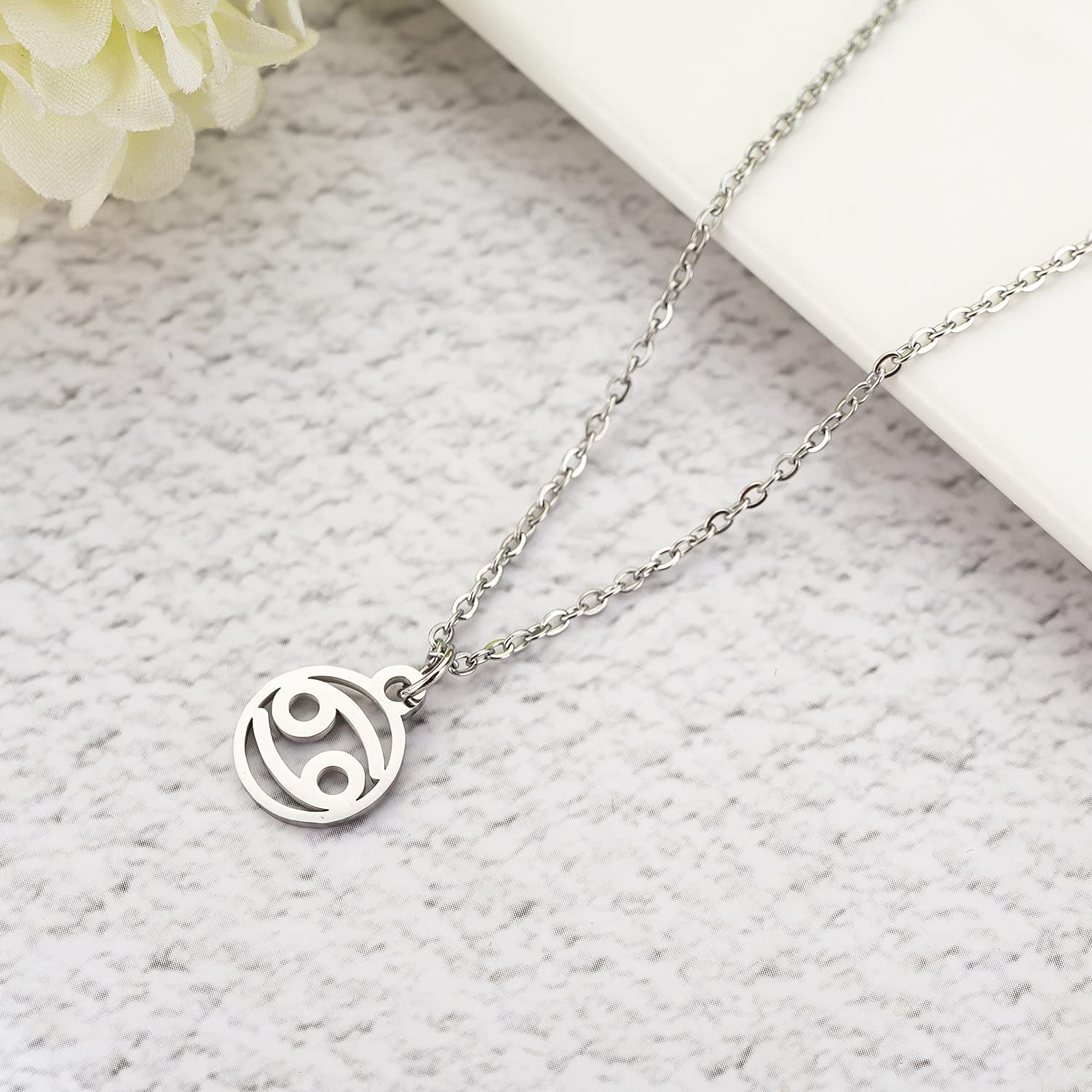 Zodiac Necklace for Women - Personalized Constellation Horoscope Jewelry - Perfect Birthday & Christmas Gift for Her - Ideal for Daily Wear, Special Occasions & Astrology Lovers