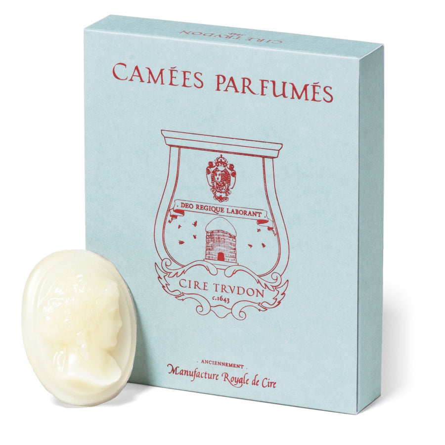 Ernesto Scented Cameos - 4 Pack | Home Fragrance Decor | Perfect for Living Room, Bedroom & Bathroom Aromatherapy