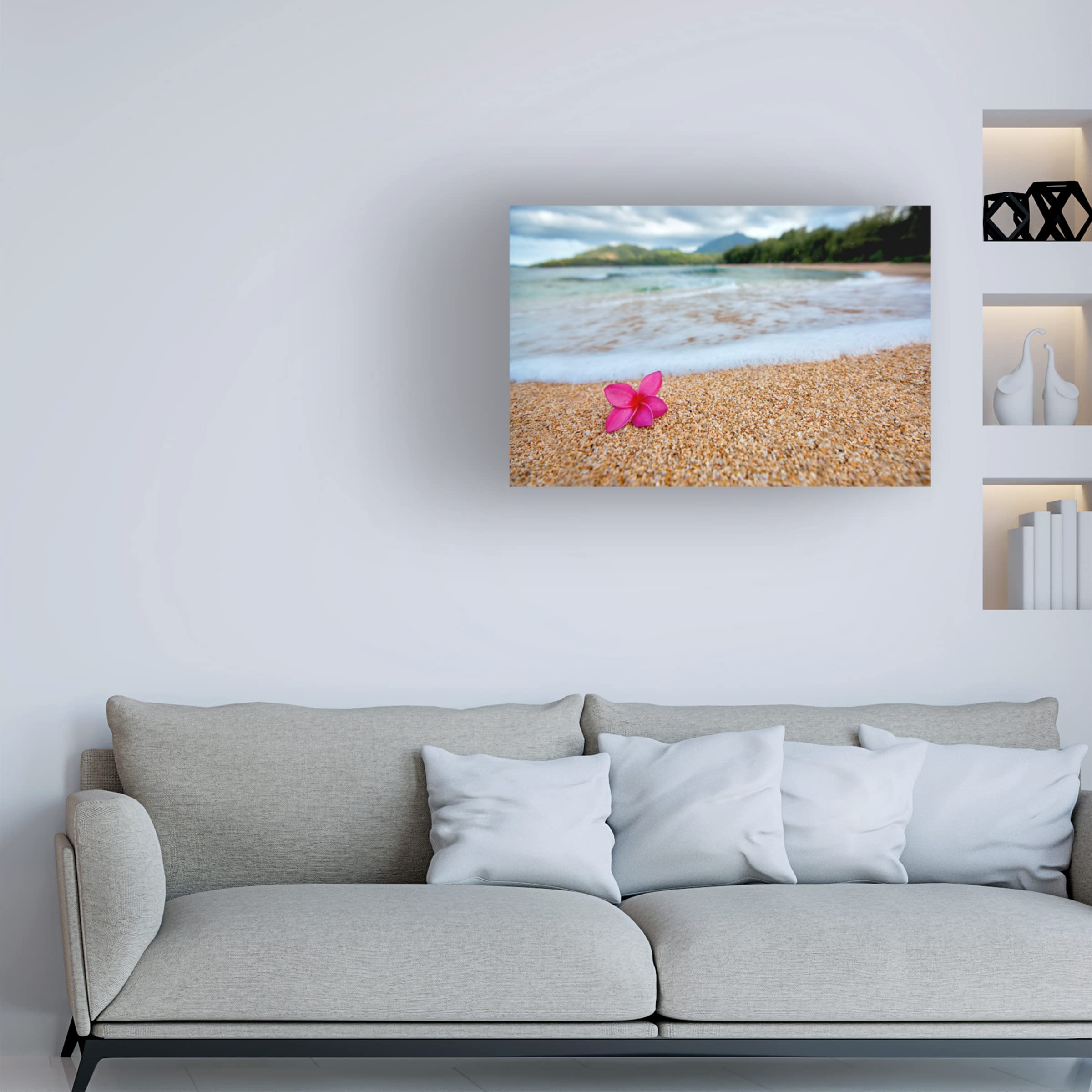 Dennis Frates 'Beach Treasures 4' Canvas Wall Art Print - Coastal Decor for Living Room, Bedroom & Office - Trademark Fine Art Collection