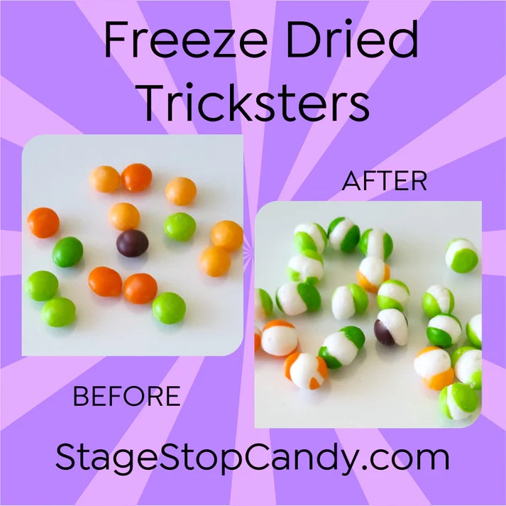 Freeze Dried Candy Assortment - Sweet & Crunchy Treats for Snacking, Gifts & Parties | Tricksters Brand