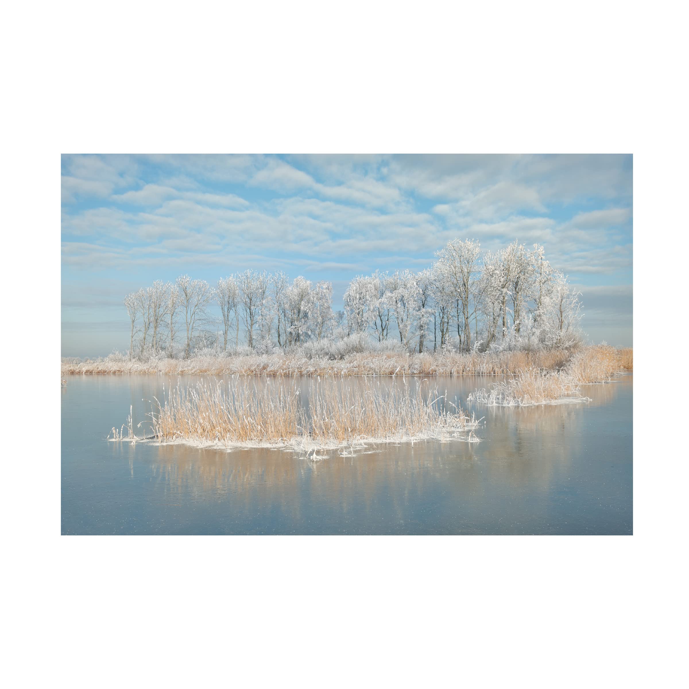 Piet Haaksma 'Winter' Canvas Art Print - Trademark Fine Art Wall Decor for Living Room, Bedroom & Office