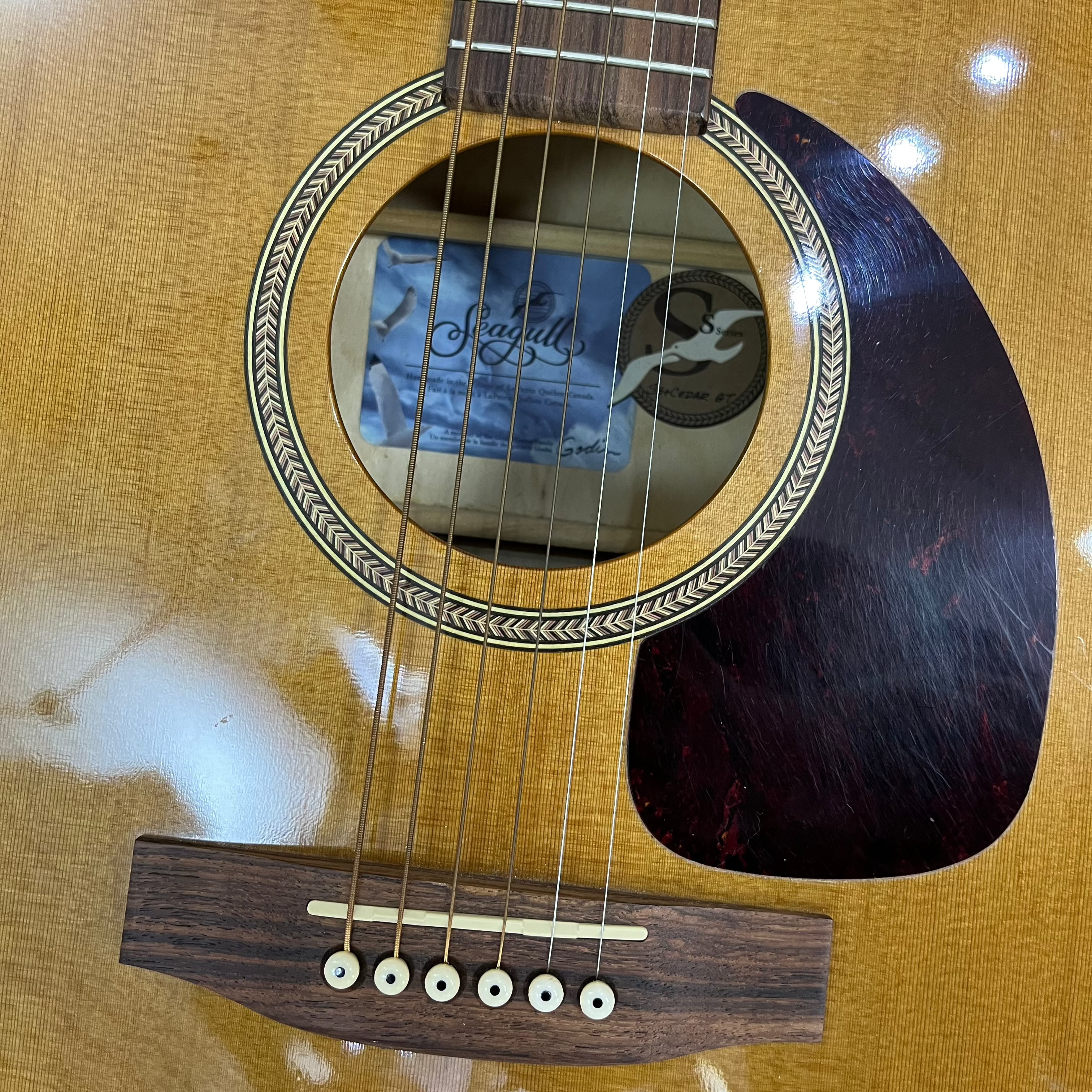 Seagull S6 GT Acoustic Guitar - Solid Cedar Top, Wild Cherry Back & Sides - Perfect for Beginners & Professionals - Ideal for Camping, Live Performances & Home Practice