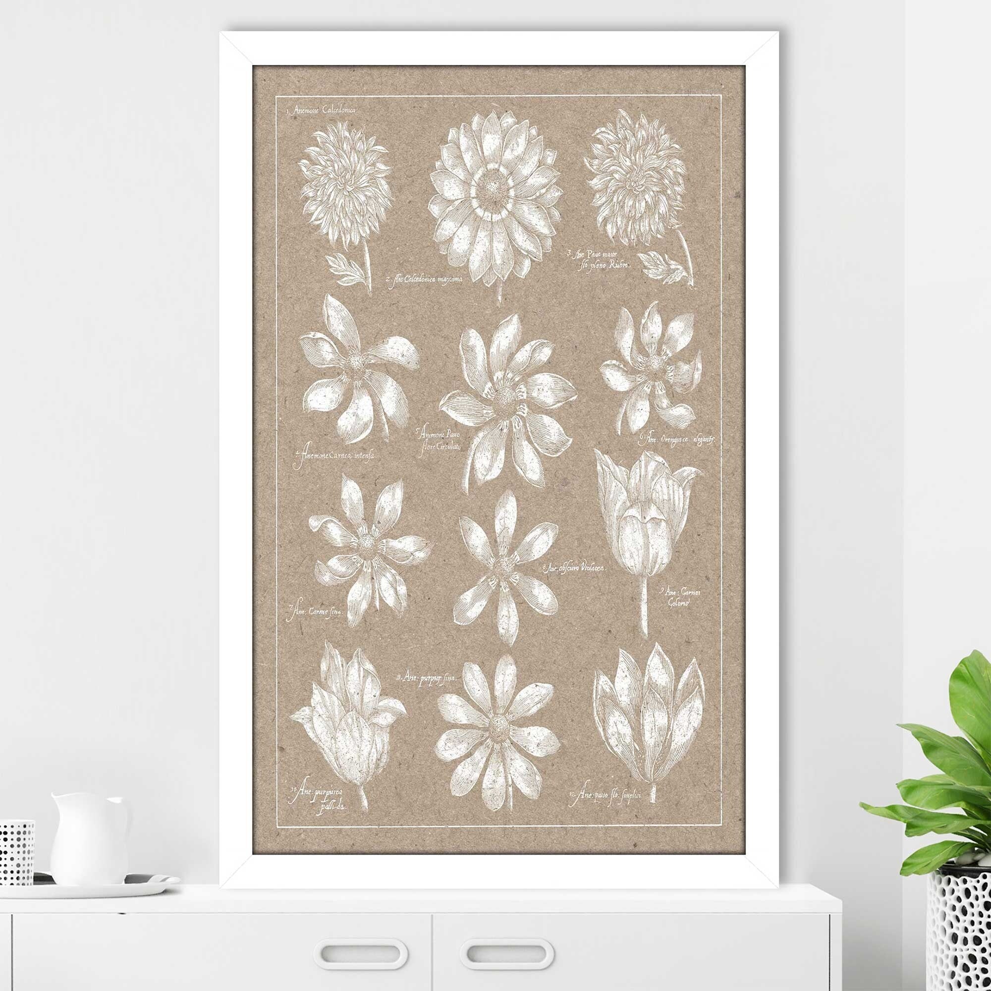 Anemone Plate II Print on Acrylic - Vibrant Wall Art Decor for Living Room, Bedroom & Office - Modern Home Decor & Unique Gift Idea