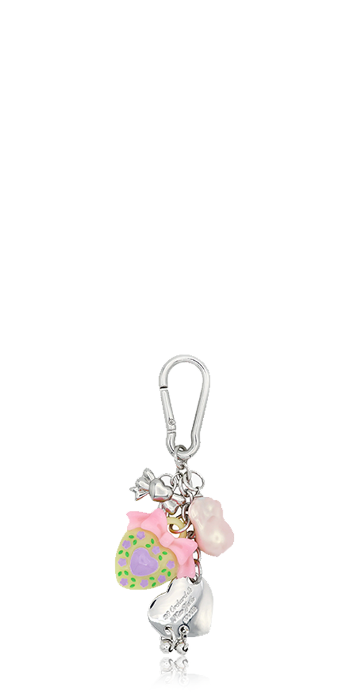 Premium Collector Keychain 2.0 - Silver Plated Metal Key Ring for Key Organization | Perfect for Collectors, Gifts & Everyday Carry (EDC) Accessories