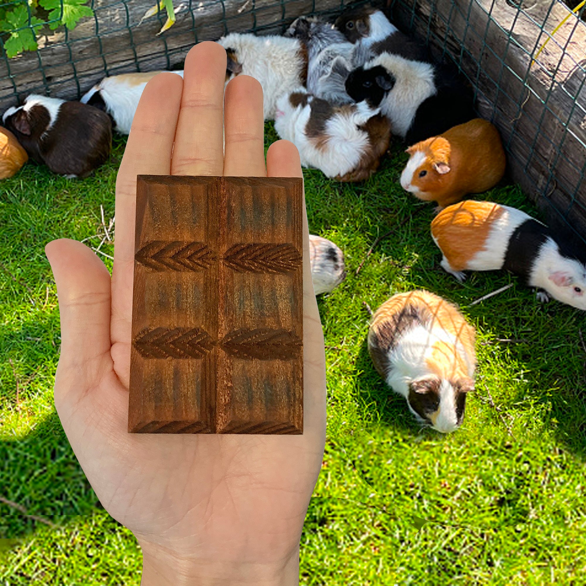 Premium Dog Chew Toy Assortment - Natural & Durable Chews for Puppies & Adult Dogs - Perfect for Teething, Training, and Playtime