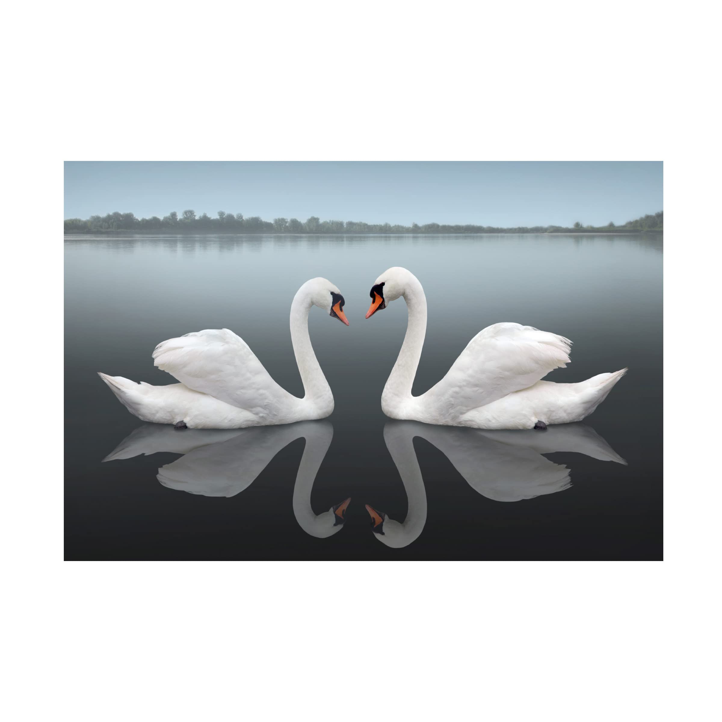Trademark Fine Art 'Together' Canvas Print by Ben Heine - Modern Wall Art for Living Room, Bedroom & Office Decor