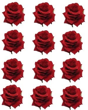 BRIKSHI Rose Flower Hair Clips for Women & Girls - 12 Pack Elegant Hair Accessories for Weddings, Parties & Daily Styling
