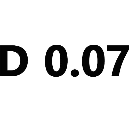 D 0.07