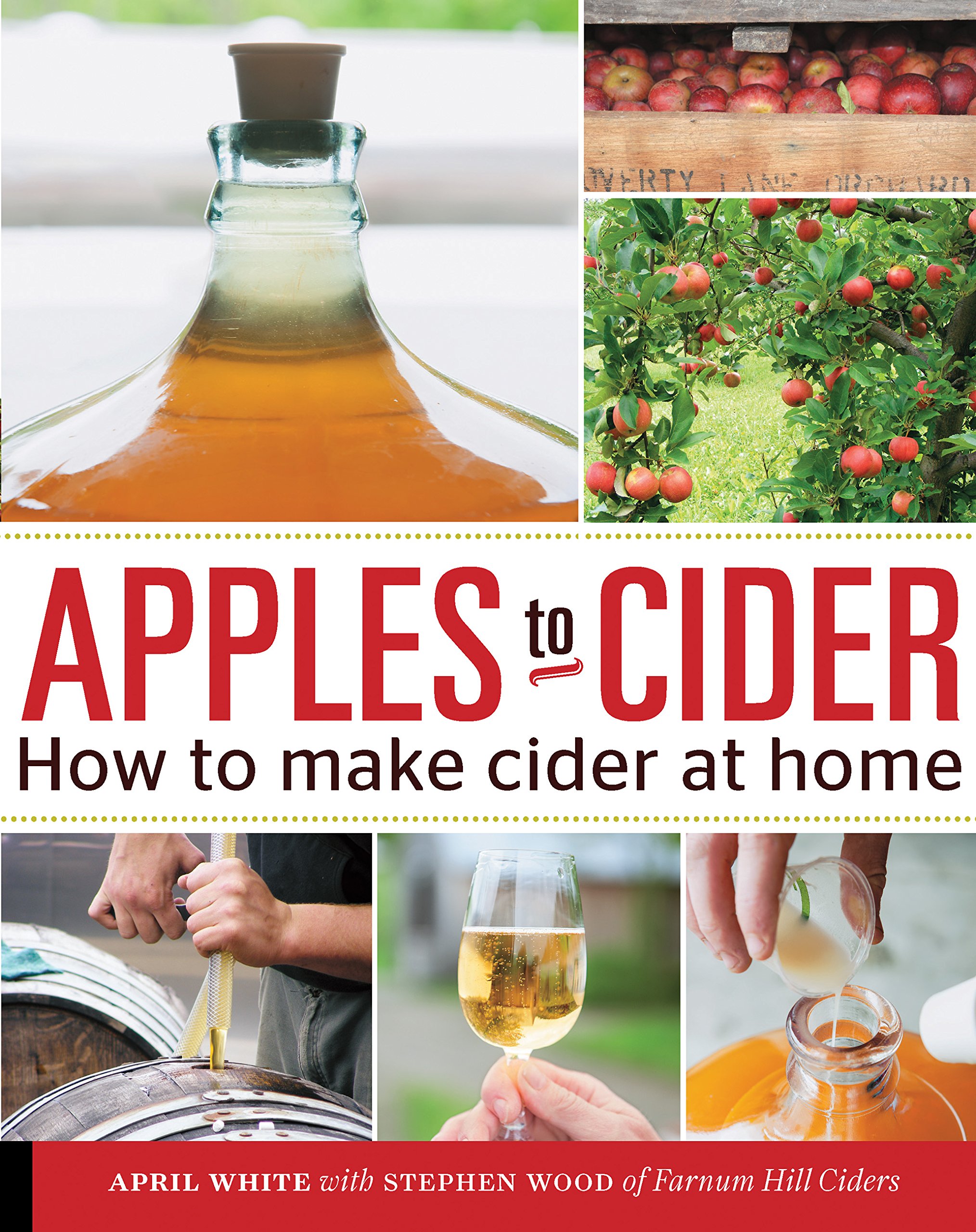 Easy Homemade Apple Cider Recipe - Step-by-Step Guide for Beginners | Perfect for Fall Gatherings & Holiday Parties