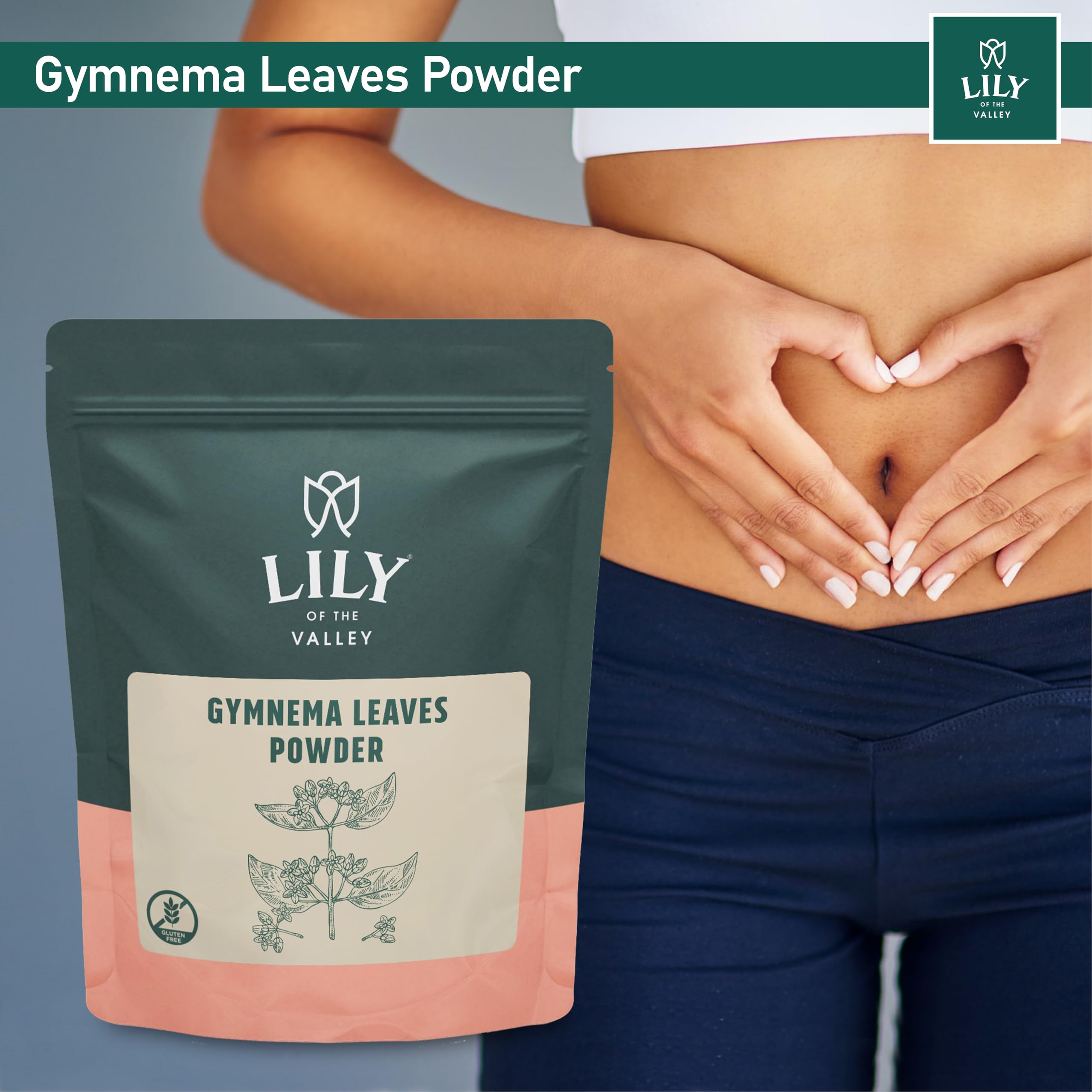 Organic Gymnema Sylvestre Leaf Powder - 16oz (453g) | Vegan, Gluten-Free Gurmar Herbal Supplement | Supports Blood Sugar Balance | Resealable Pouch for Freshness | Perfect for Teas, Smoothies & Natural Remedies