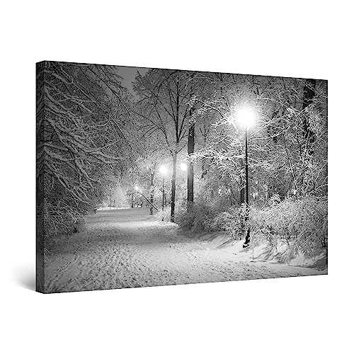 Black White Park