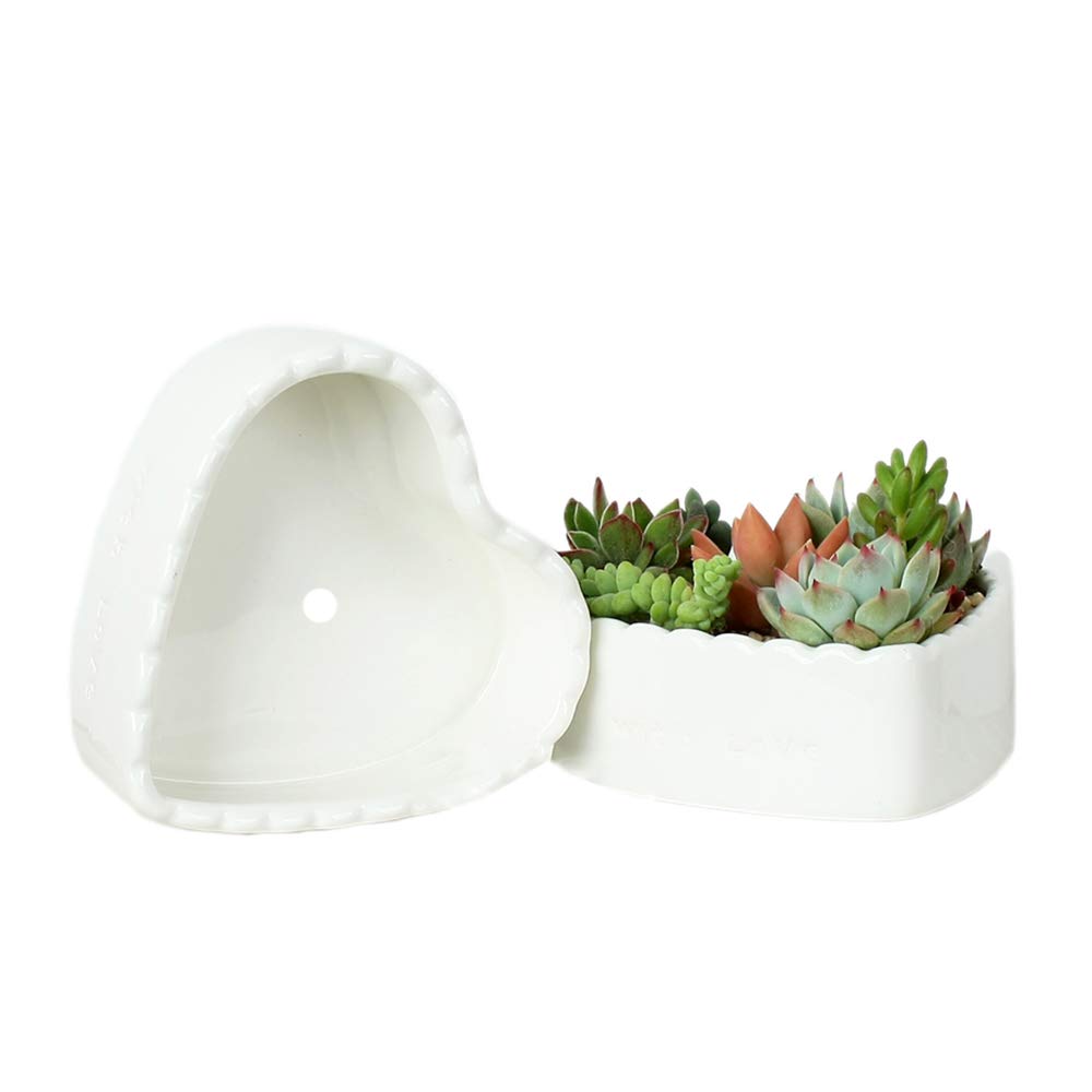2 Pack Heart-Shaped White Ceramic Succulent Plant Pots - Small Cactus Flower Pots for Home Decor, Office Desk, Wedding Centerpieces & Gift Ideas