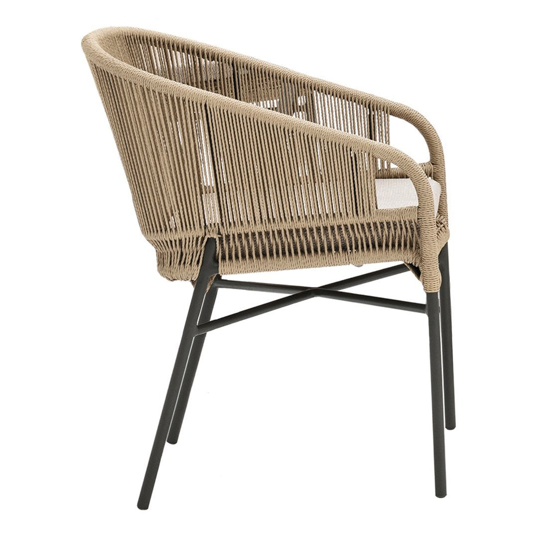 Modern Cricket Low Dining Armchair 2989L - Stylish & Comfortable Seating for Dining Rooms, Kitchens, and Small Spaces