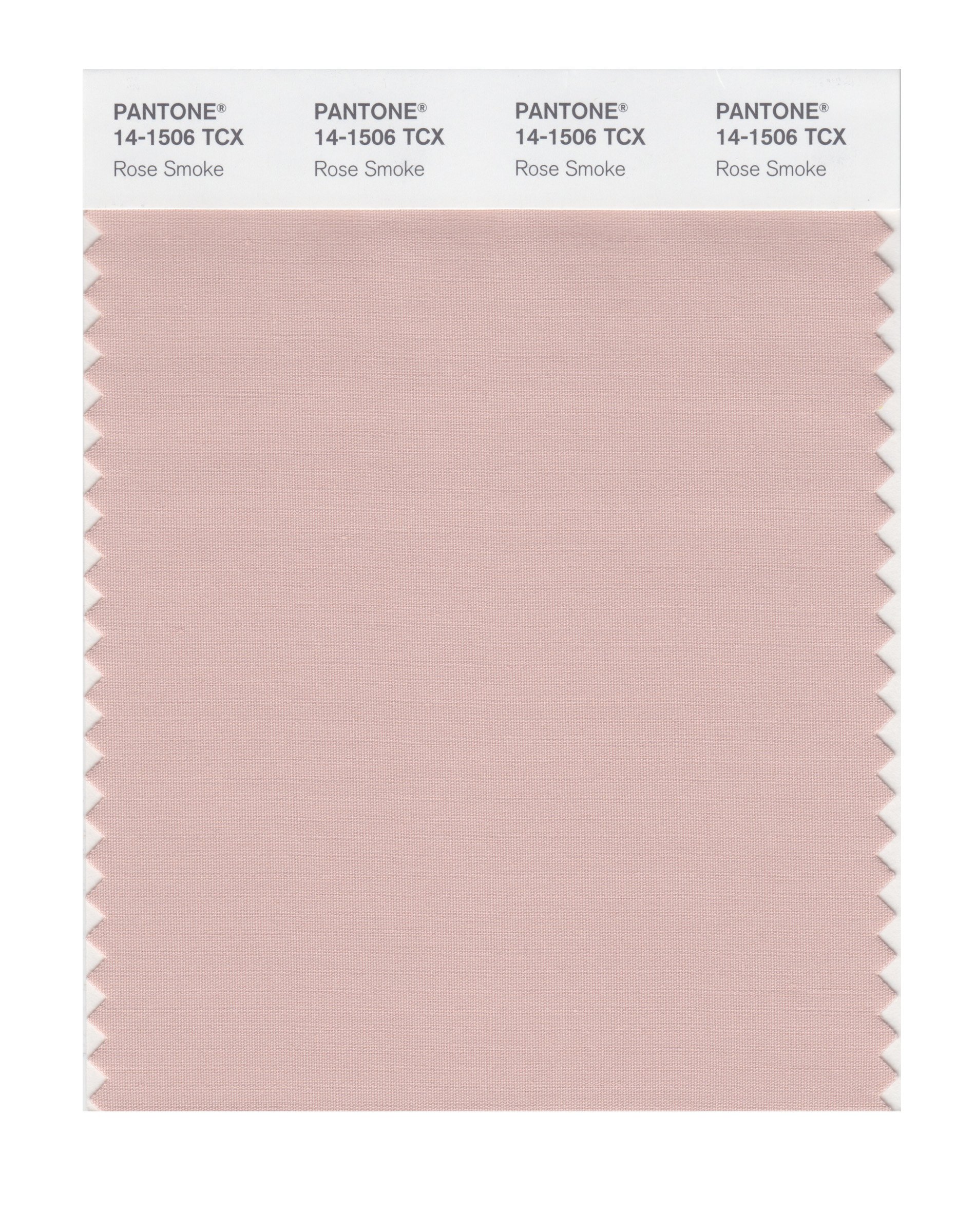 PANTONE Smart 14-1506X Rose Smoke Color Swatch Card | Premium Color Matching Tool for Designers | Perfect for Graphic Design, Fashion, and Home Decor Projects