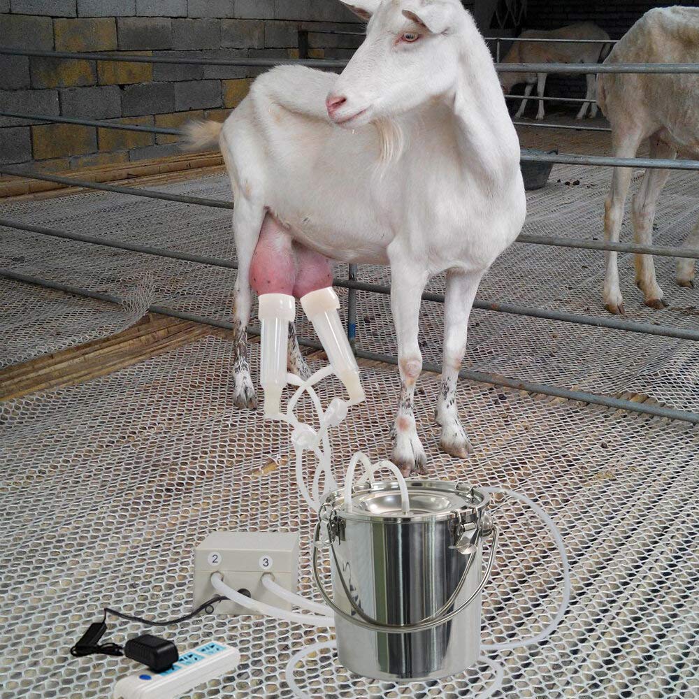 Electric Milking Machine for Goats & Cows - Portable Vacuum Pump Milker with 7L Stainless Steel Bucket - Ideal for Jerseys, Nigerian Dwarfs & Nubian Mix - Perfect for Small Farms, Homesteads & Dairy Production