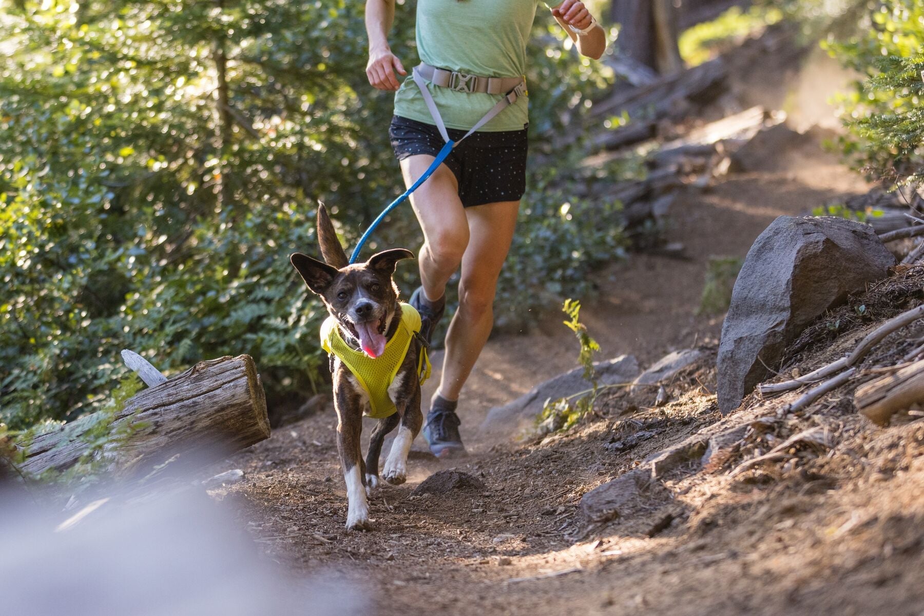 Ruffwear Dog Running Vest - Reflective Trail Runner Harness for Dogs in High-Visibility Lichen Green - Perfect for Hiking, Jogging & Outdoor Adventures