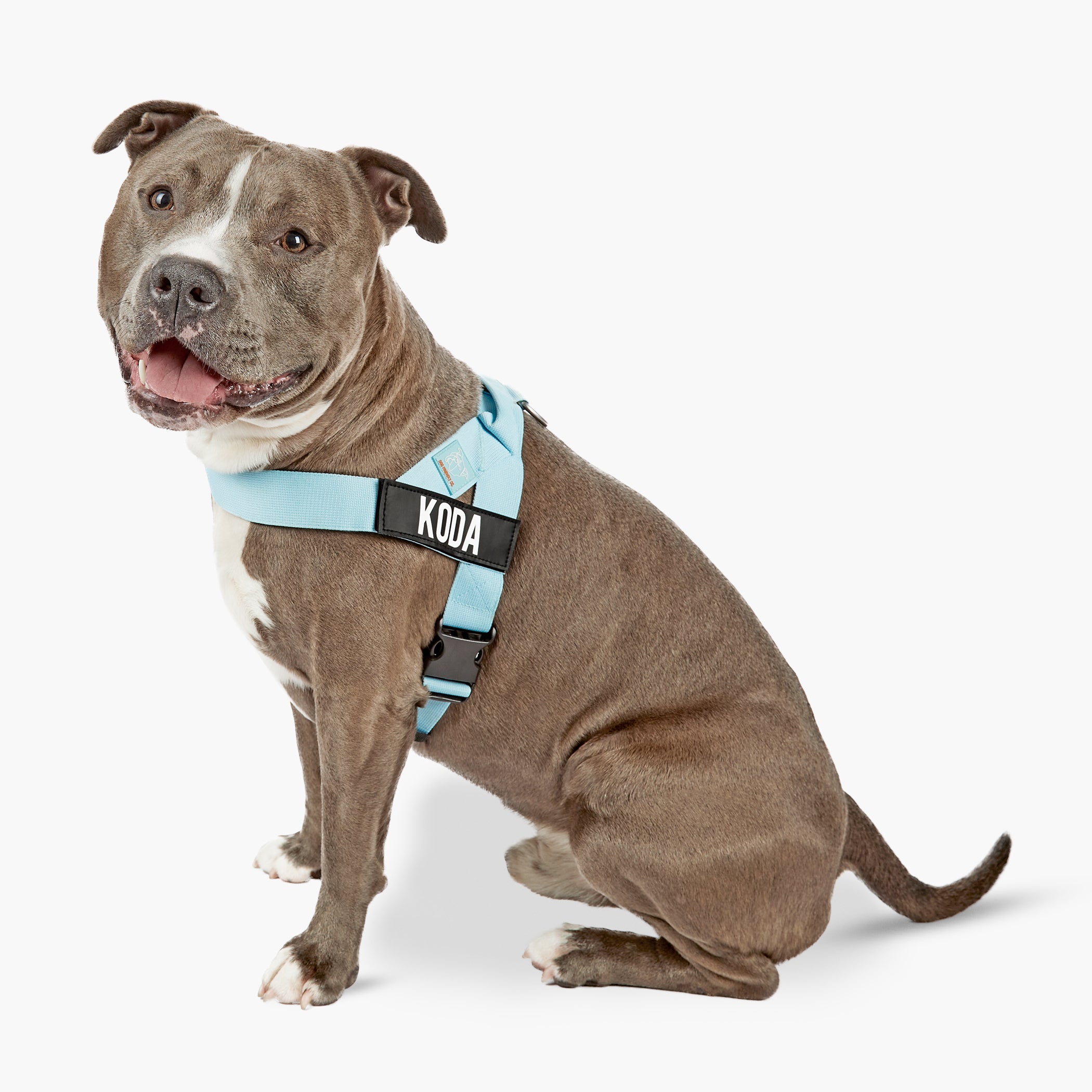 Premium Dog Harness for Small & Medium Dogs - Adjustable & Breathable Sky Blue Pet Vest - Perfect for Walking, Hiking & Outdoor Adventures