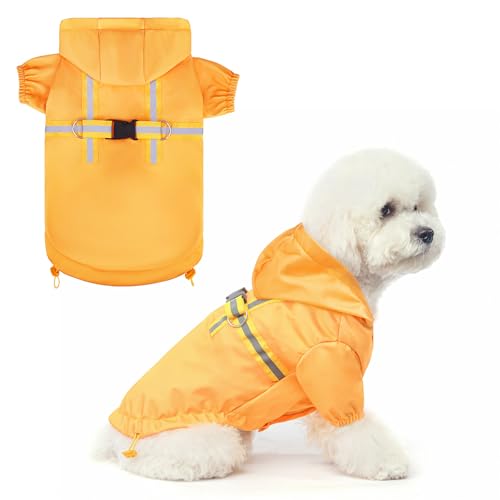 Solid Yellow