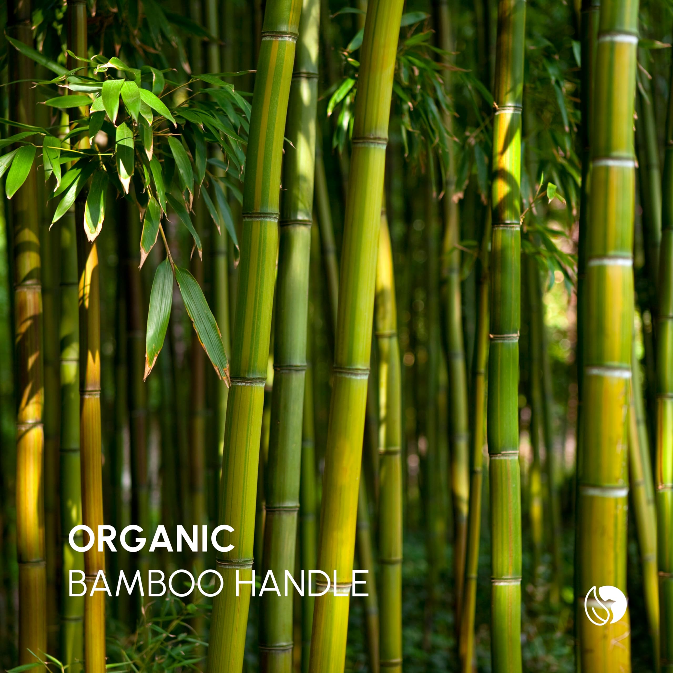 Eco-Friendly Organic Bamboo Cotton Swabs - 50 Count | Biodegradable Ear Cleaners for Gentle Hygiene & Makeup Application | Perfect for Travel, Home & Eco-Conscious Beauty Routines